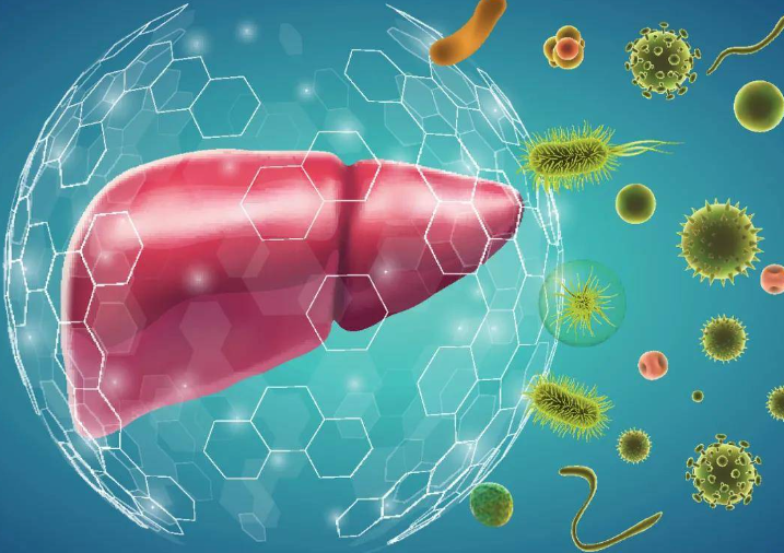 Targeting Neoantigens in Hepatocellular  Carcinoma for Immunotherapy: A Futile  Strategy?